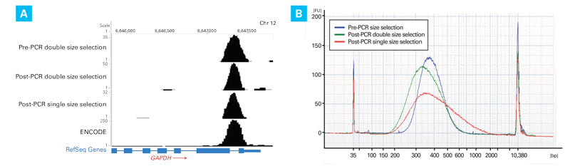 SeqAmp™ DNA Polymerase 638509 - Next-generation sequencing - Takara Bio