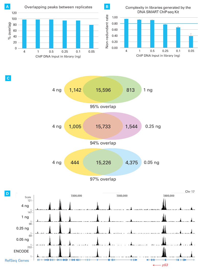 SeqAmp™ DNA Polymerase 638509 - Next-generation sequencing - Takara Bio