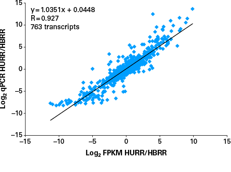 SMART-Seq® Total RNA High Input (RiboGone™ Mammalian) 635047 - Next-generation sequencing - Takara Bio