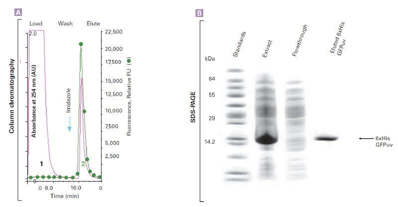 HisTALON™ Superflow Cartridges 635682 - Protein research - Takara Bio