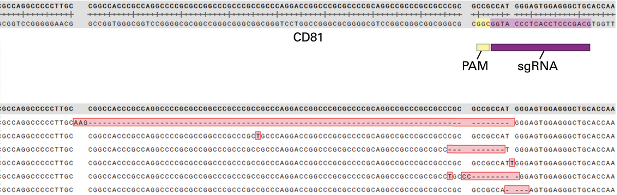 Guide-it™ Indel Identification Kit 631444 - Gene function - Takara Bio