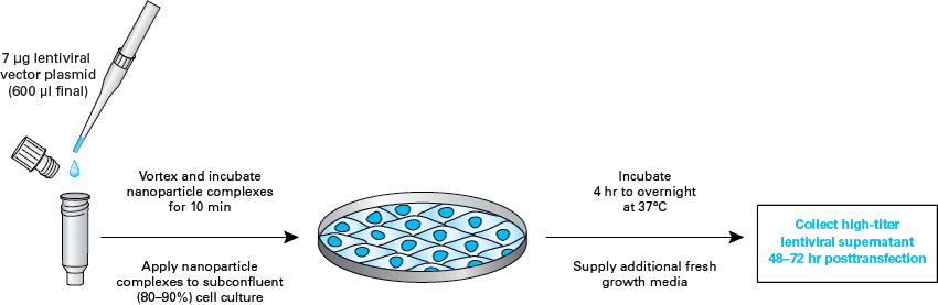 Lenti-X™ SARS-CoV-2 Packaging Mix (D614G Spike, Full Length) 632673 - COVID-19 research - Takara Bio