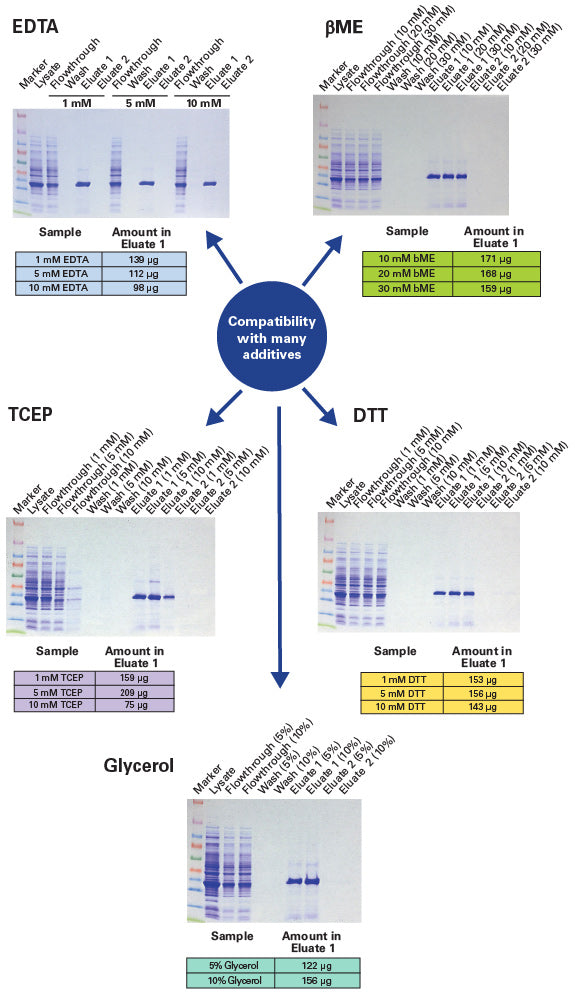 Capturem™ His-Tagged Purification 24-Well Plate 635730 - Protein research - Takara Bio