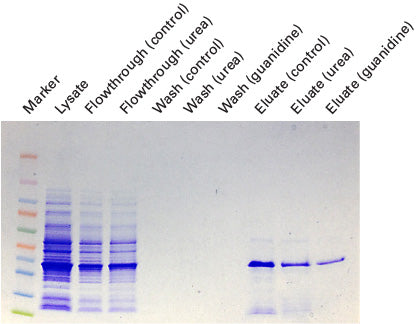 Capturem™ His-Tagged Purification 24-Well Plate 635730 - Protein research - Takara Bio