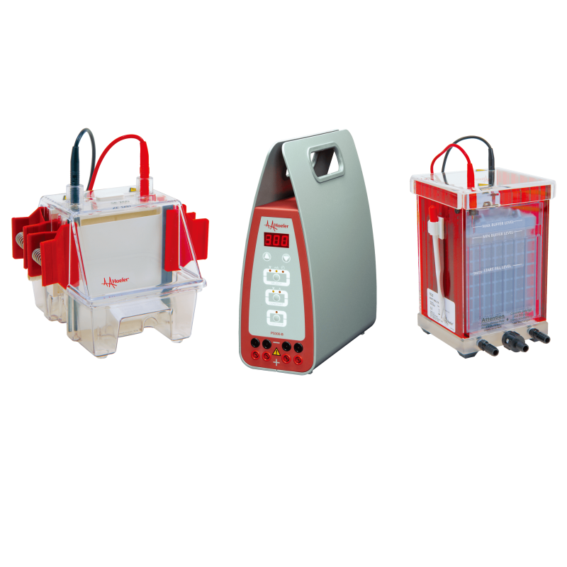 Mini Electrophoresis Western Blot Combination Package w/ Transfer Tank 326223 - Hoefer Inc.
