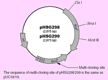 pHSG 299 DNA 3299 - Cloning - Takara Bio