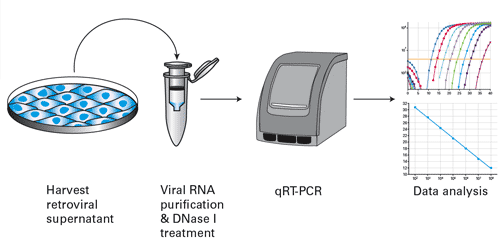 Retro-X™ qRT-PCR Titration Kit 631453 - Gene function - Takara Bio