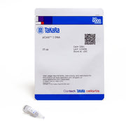 pCold™ I DNA 3361 - Protein research - Takara Bio