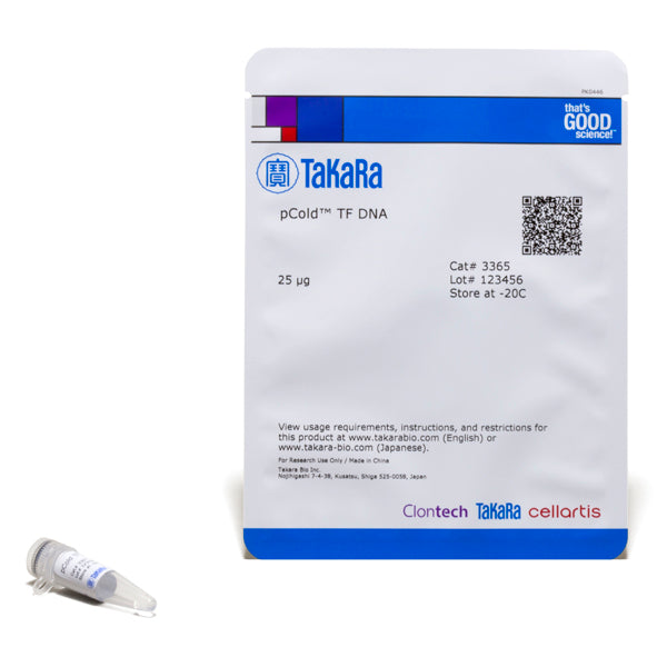 pCold™ TF DNA 3365 - Protein research - Takara Bio