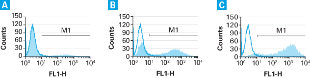 Retro-X™ qRT-PCR Titration Kit 631453 - Gene function - Takara Bio