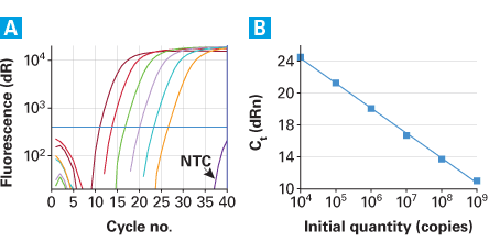 Retro-X™ qRT-PCR Titration Kit 631453 - Gene function - Takara Bio