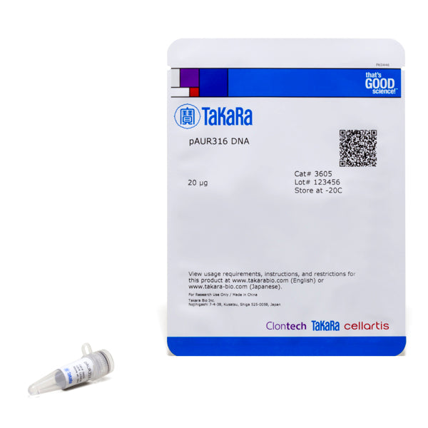 pAUR316 DNA 3605 - Cloning - Takara Bio