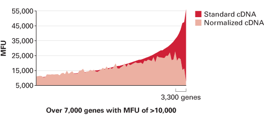 Mate & Plate™ Library - Universal Arabidopsis (Normalized) 630487 - Protein research - Takara Bio