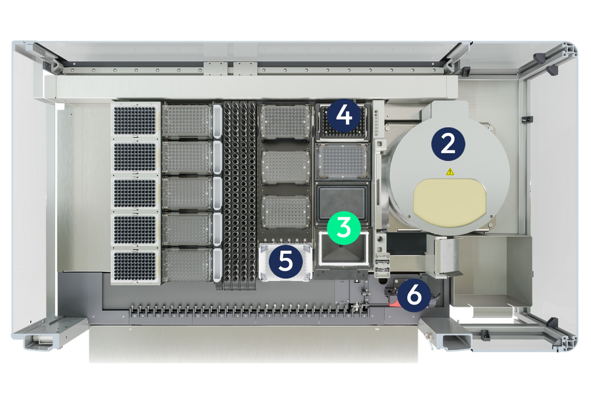 Dual MassSTAR (806614)