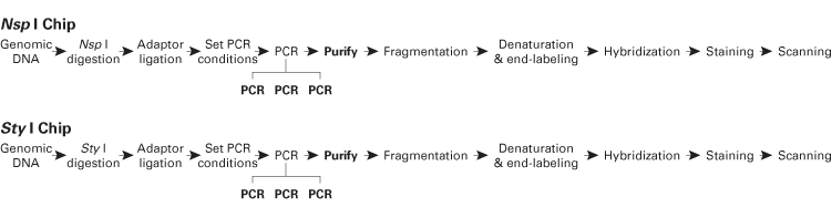 Titanium® DNA Amplification Kit 639243 - PCR - Takara Bio