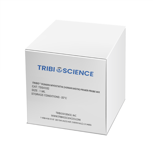 Tribo™ Human Myostatin (Human MSTN) Primer-Probe Mix TBS4102 - RT-PCR Kits - TriBioScience