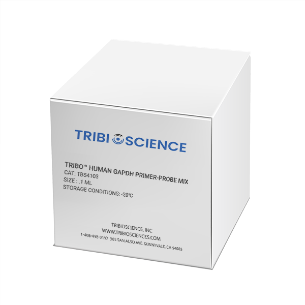 Tribo™ Human GAPDH Primer-Probe Mix TBS4103 - RT-PCR Kits - TriBioScience