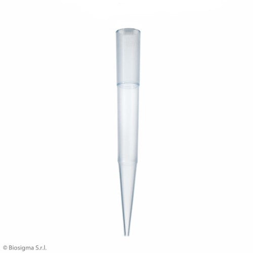 Pipette Tips, Standard (BSR062)