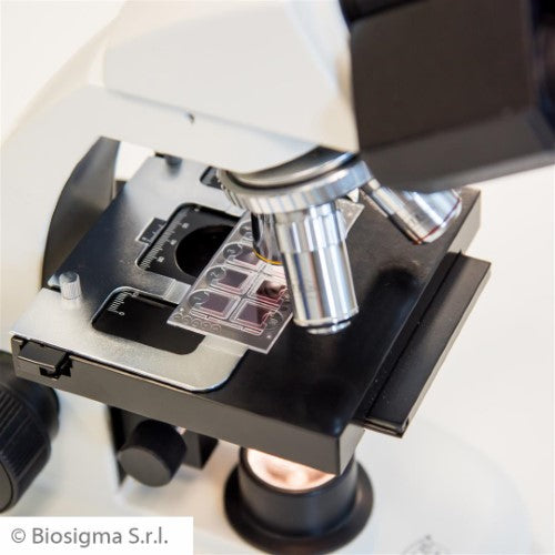 Biosigma Urine Reading System product image