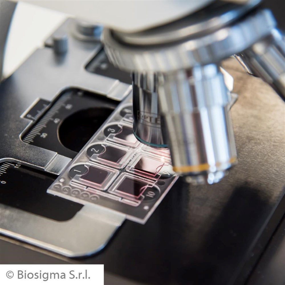 Biosigma Urine Reading System product image