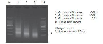 EpiScope® Nucleosome Preparation Kit 5333 - Gene function - Takara Bio