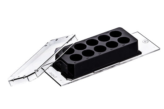 CELLVIEW CELL CULTURE SLIDE, PS, 75/25 MM, GLASS BOTTOM, 10 COMPARTMENTS, STERILE - Advanced TC / Single packed - Greiner Bio-One (543978)