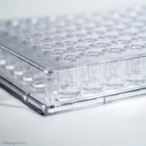 96-Well Microtiter Plates, Polystyrene (BSD012)