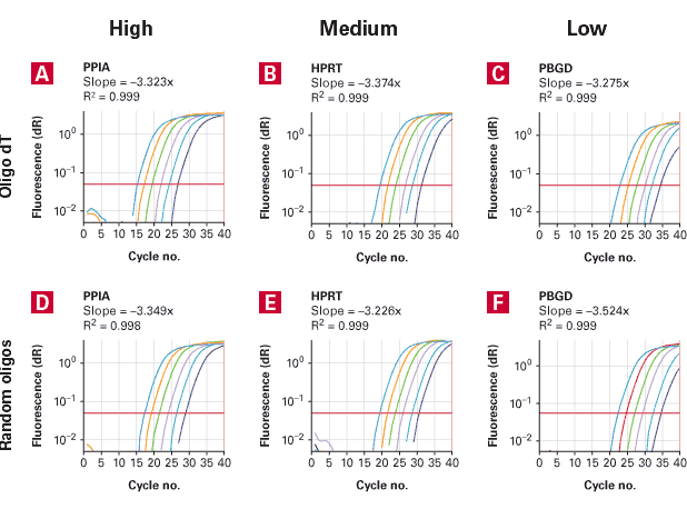 qPCR Human Reference cDNA, Random-primed 639653 - Real-time PCR - Takara Bio