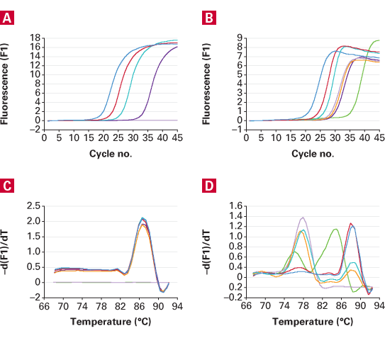 TB Green® Advantage® qPCR Premix 639676 - Real-time PCR - Takara Bio