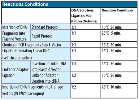 DNA Ligation Kit, Mighty Mix 6023 - Cloning - Takara Bio