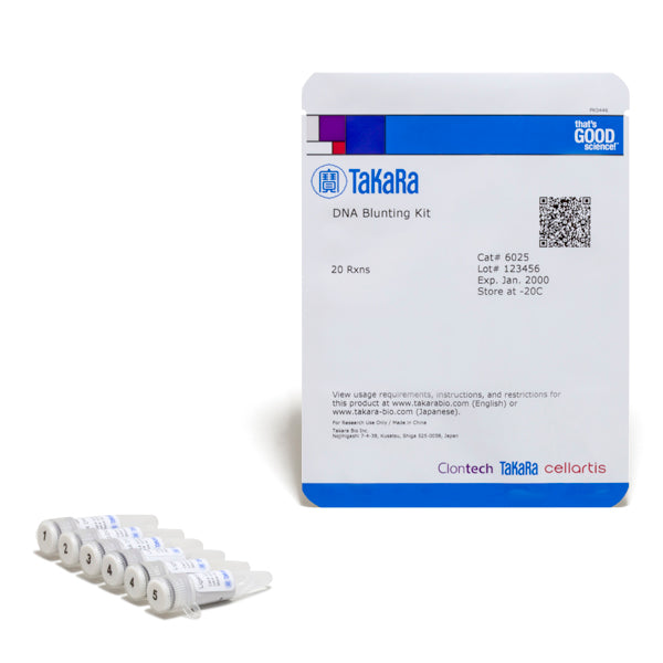 DNA Blunting Kit 6025 - Cloning - Takara Bio