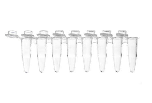 PCR 8-TUBE STRIPS FOR QPCR, 0.2 ML, PP, - Molecular Biology - Greiner Bio-One (608281)