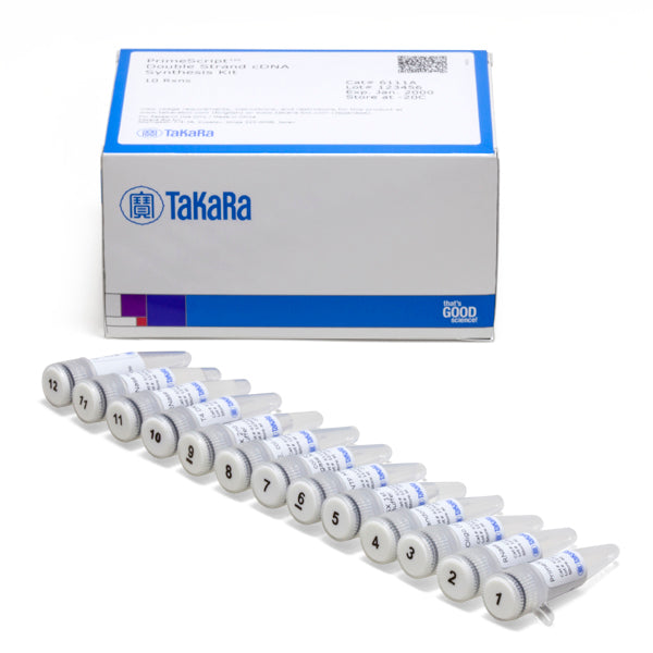 PrimeScript™ Double Strand cDNA Synthesis Kit 6111A - mRNA and cDNA synthesis - Takara Bio