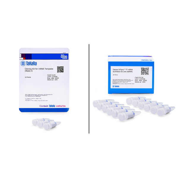 Takara IVTpro™ mRNA Synthesis System (low dsRNA) 6131 - mRNA and cDNA synthesis - Takara Bio