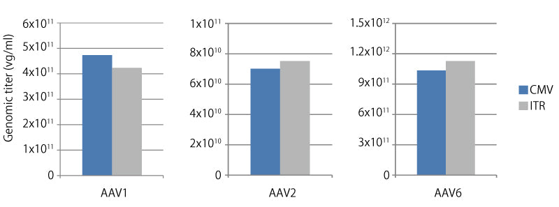AAVpro® Titration Kit (for Real Time PCR) Ver.2 6233 - Gene function - Takara Bio