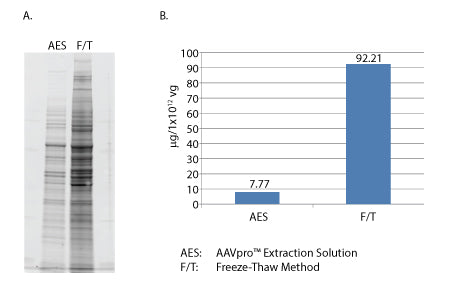 AAVpro® Freeze-Thaw Extraction Buffer (All Serotypes) 6679 - Gene function - Takara Bio