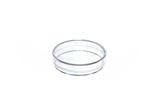 PETRI DISH, PS - Dishes - 60/15 mm / Non-sterile / With Vents, 20 pcs./bag - Greiner Bio-One (628102)