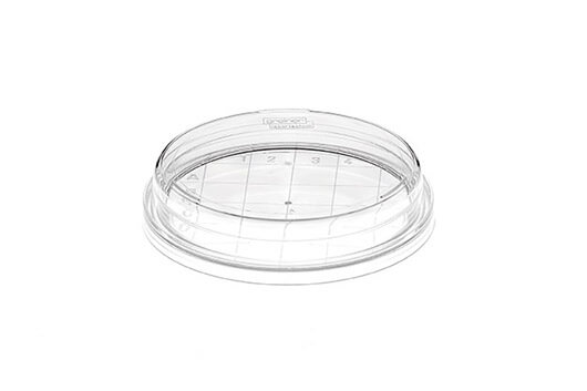 CONTACT DISH, PS, 65/15 MM, GRADUATED BOTTOM, STERILE - Without Vents - Greiner Bio-One (629161)
