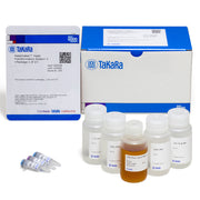 Yeastmaker™ Yeast Transformation System 2 630439 - Protein research - Takara Bio