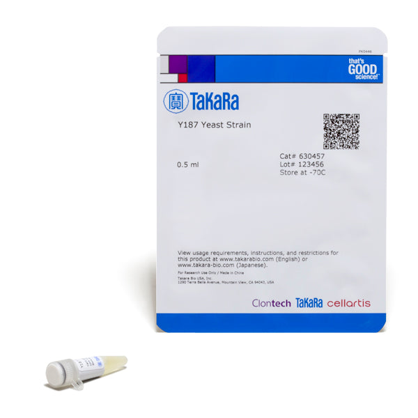 Y187 Yeast Strain 630457 - Protein research - Takara Bio