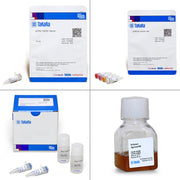 Tet-On® 3G Inducible Expression System 631168 - Gene function - Takara Bio