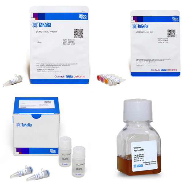 Tet-On® 3G Inducible Expression System 631168 - Gene function - Takara Bio