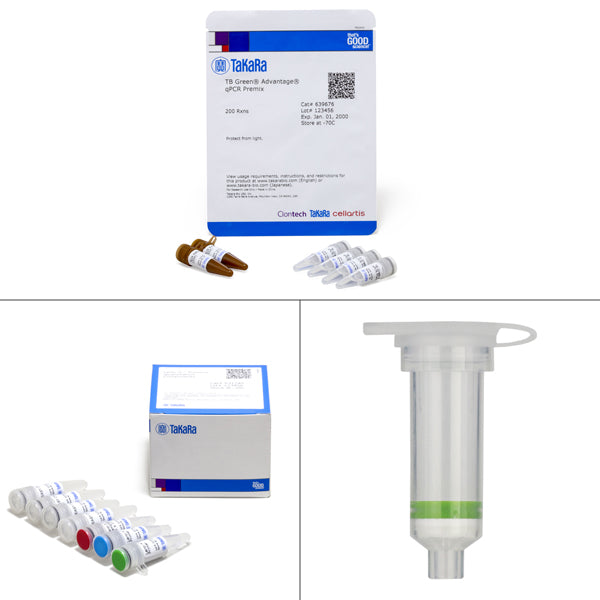 Lenti-X™ Provirus Quantitation Kit 631239 - Gene function - Takara Bio