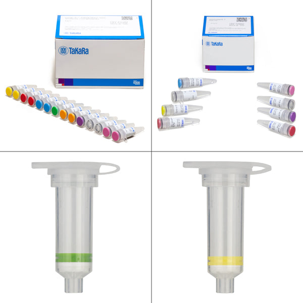 Lenti-X™ Integration Site Analysis Kit 631263 - Gene function - Takara Bio