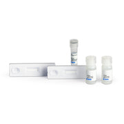 IFN-gamma GoStix™ Plus 631285 - Gene function - Takara Bio