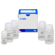 CalPhos™ Mammalian Transfection Kit 631312 - Gene function - Takara Bio