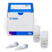 Xfect™ Transfection Reagent 631317 - Gene function - Takara Bio