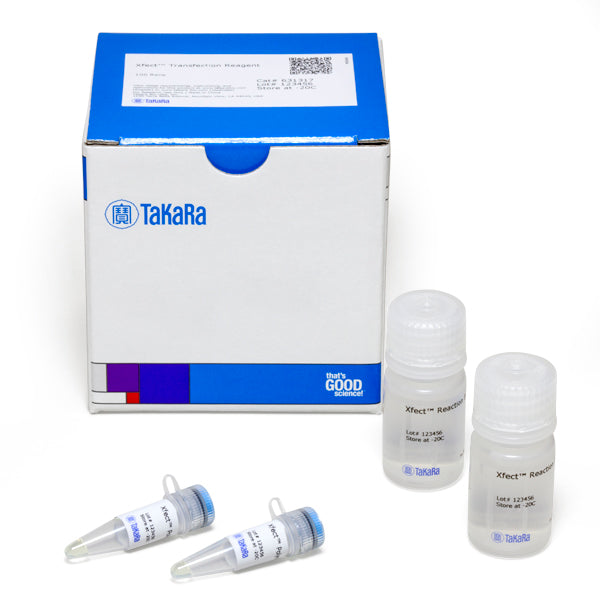 Xfect™ Transfection Reagent 631317 - Gene function - Takara Bio