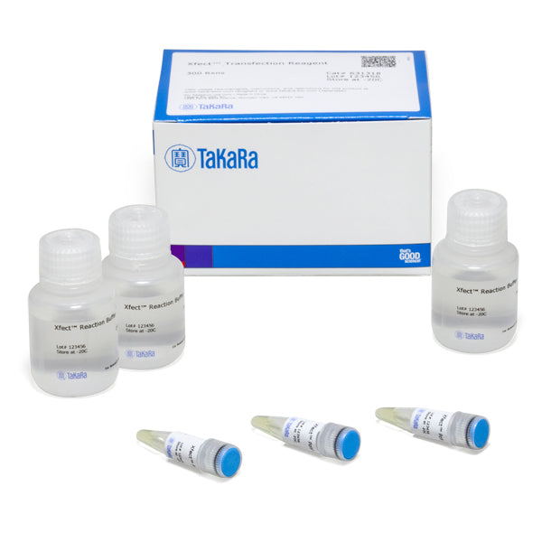 Xfect™ Transfection Reagent 631318 - Gene function - Takara Bio