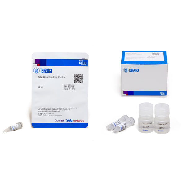 Xfect™ Protein Transfection Reagent 631323 - Gene function - Takara Bio